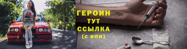 молекула духа Богданович