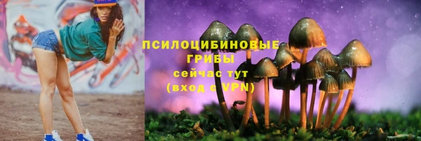дживик Богородицк