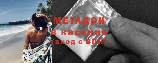 молекула духа Богданович