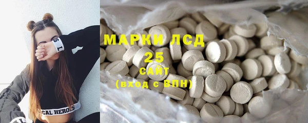 молекула духа Богданович
