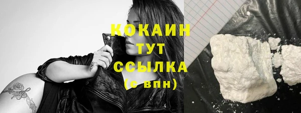 дживик Богородицк