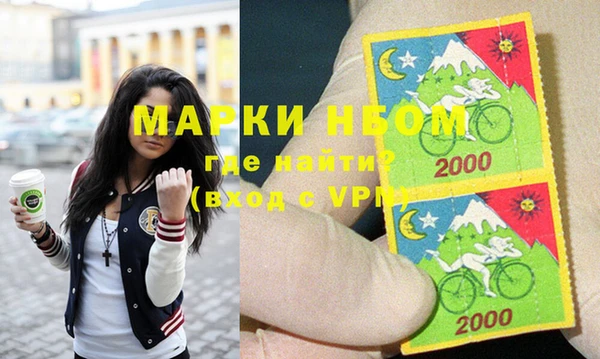 молекула духа Богданович