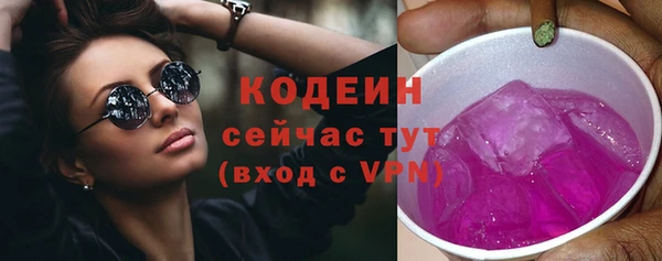 дживик Богородицк