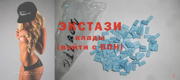 дживик Богородицк