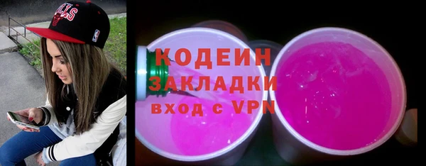 молекула духа Богданович