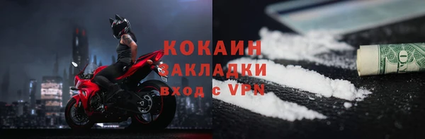молекула духа Богданович