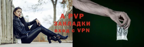 молекула духа Богданович