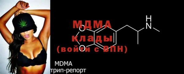 молекула духа Богданович
