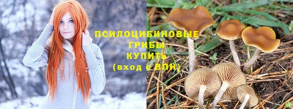 дживик Богородицк