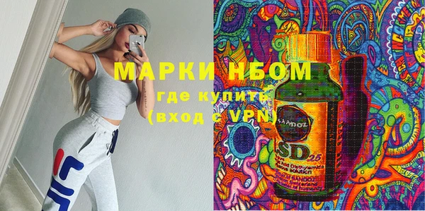 молекула духа Богданович