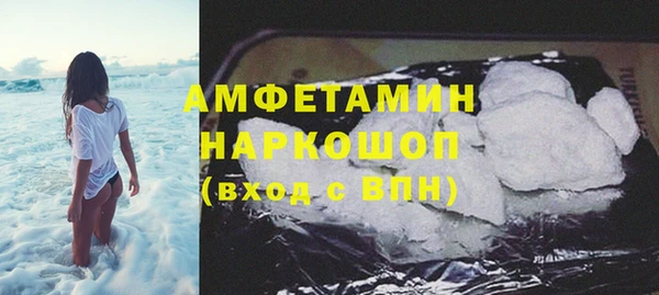 молекула духа Богданович