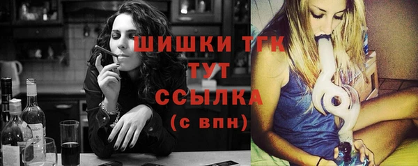 дживик Богородицк