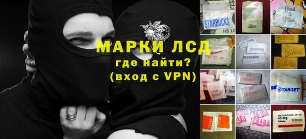 дживик Богородицк